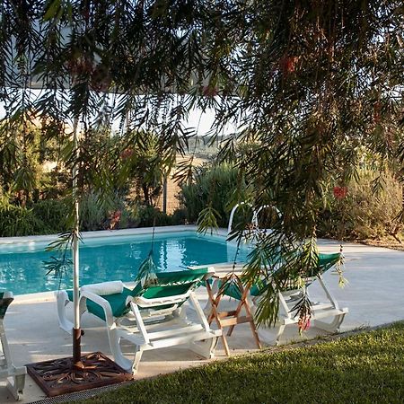 Casa Das Alfazemas Com Piscina, Jardim E Snooker Adao Lobo 外观 照片